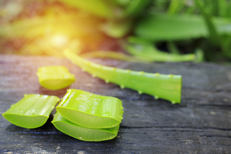 Aloe Vera gegen Haarausfall