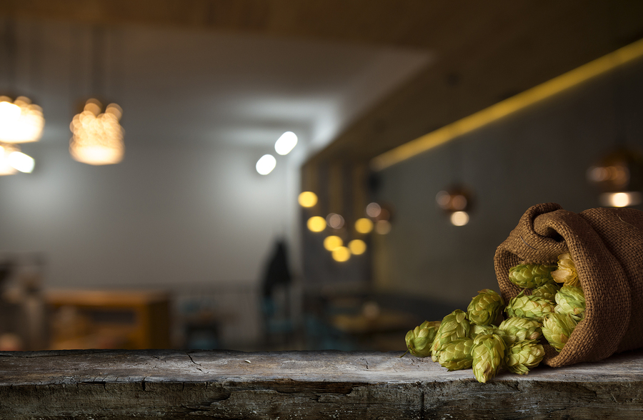 Hopfen-Extrakt gegen Haarausfall